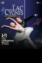 le lac des cygnes