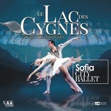 LE LAC DES CYGNES